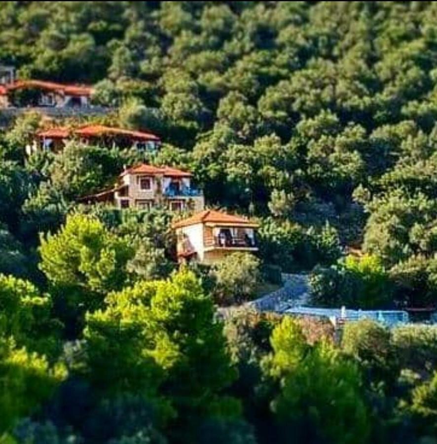 Skiathos Garden Cottages Esterno foto